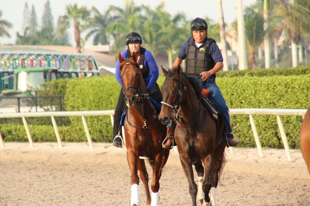 Breaking Lucky jogging on the racetrack under exercise rider/assistant trainer Martine Pare. (Julie June Stewart photo)